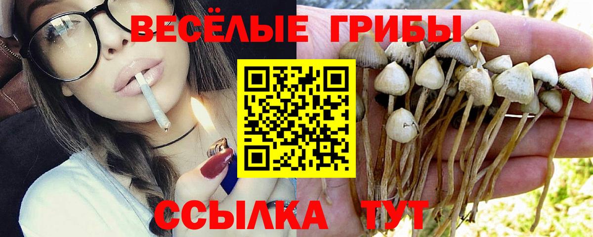 Псилоцибиновые грибы Psilocybine cubensis  Вход с VPN  Корсаков 